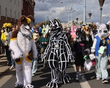 Wrocławski Furwalk 2024