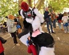 Wrocławski Furwalk 2024