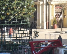 Coraz mniej choinki na Rynku. Trwa jej rozbieranie