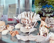 Kolekcja zarekwirowanych wakacyjnych pamiątek. Można je zobaczyć w gablocie w terminalu wrocławskiego lotniska