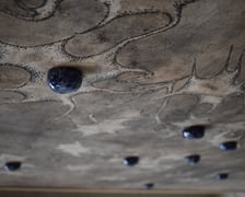 <p>Neuroornament Anity Sieradzkiej z ASP Wrocław</p>