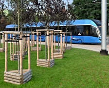 Pierwszy dzień roboczy z tramwajami na Nowy Dwór i dużymi zmianami w trasach autobusów i tramwajów.