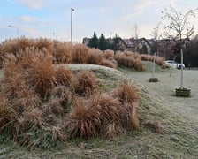 <p>Ta "g&oacute;rka" przy skrzyżowaniu Mińskiej z Tyrmanda prawdopodobnie zostanie zniwelowana - jest na trasie buspasa&nbsp;</p>