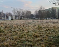 <p>Niezabudowany teren przy ulicy Mińskiej, miedzy Roślinną a Stachury, na kt&oacute;rym powstać ma pętla autobusowo-tramwajowa. Jest tu przystanek "Muchob&oacute;r Wielki (Roślinna)". To miejsce w planie miejscowym określony jest jako "tereny komunikacji tramwajowej z zielenią towarzyszącą". Tu ma się rozpoczynać buspas, kt&oacute;ry biec będzie do Strzegomskiej, a tam połączy się z trasą autobusowo-tramwajową prowadzącą do centrum miasta&nbsp;</p>
