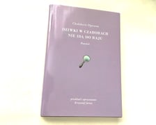 <p>Chahdortt Djavann, &bdquo;Dziwki w czadorach nie idą do raju&rdquo;, Wydawnictwo w Podw&oacute;rku 2024</p>