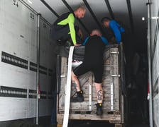 Przygotowania do transportu manata Ambrożego