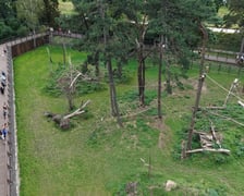 Wybieg magotów we wrocławskim zoo, sierpień 2026