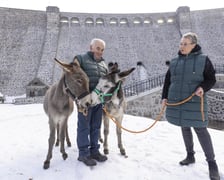 Osiołki Kuba i Luna z Lubachowa oraz ich właściciele na tle zapory wodnej, która zagrała w filmie