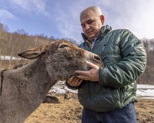 Osiołek Kuba z Lubachowa oraz jego właściciel