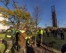 Tak wyglądał początek akcji sadzenia drzew wzdłuż ul. Legnickiej i Lotniczej.