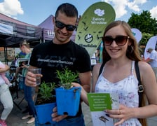 Pikniki Zielonego Wrocławia to wiele atrakcji dla dużych i małych, fot. UMW