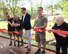 Uroczyste otwarcie nowej Lwiarni we wrocławskim zoo: wstęgę przecinają młode pracownice wydziału zwierząt drapieżnych,  Sergiusz Kmiecik, który od niedawna pełni obowiązki prezesa wrocławskiego zoo, Paweł Sroka, kierownik wydziału  Zwierząt Drapieżnych i pani Ela, która przepracowała we wrocławskim zoo 50 lat.