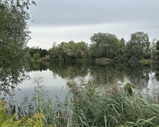 Park przy ul. Rumiankowej