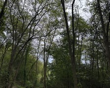 Park przy ul. Rumiankowej