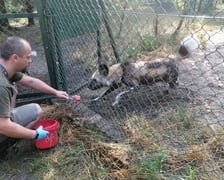 Kamil Guzik i jeden z jego podopiecznych, likaon