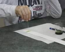 Noc Biologów 2022: uczestnik przeprowadza chromatograficzną analizę barwników roślinnych