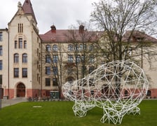 <p>Instalacja z plastikowych rurek, kt&oacute;ra przypomina figurę niedźwiedzia. Z tyłu budynek Wydziału Architektury na Politechnice Wrocławskiej przy ul. Prusa&nbsp;</p>