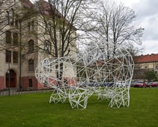 <p>Instalacja z plastikowych rurek, kt&oacute;ra przypomina figurę niedźwiedzia. Z tyłu budynek Wydziału Architektury na Politechnice Wrocławskiej przy ul. Prusa&nbsp;</p>