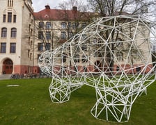 <p>Instalacja z plastikowych rurek, kt&oacute;ra przypomina figurę niedźwiedzia. Z tyłu budynek Wydziału Architektury na Politechnice Wrocławskiej przy ul. Prusa&nbsp;</p>