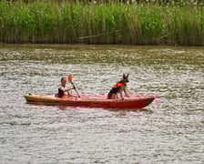 Piknik na rozpoczęcie Juwenaliów Wrocławskich