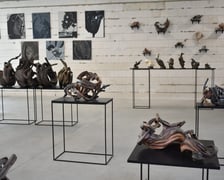 <p>Sandra Majecka &bdquo;Transmutacja&rdquo;</p>