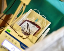 Jesienna Wampiriada na Uniwersytecie Ekonomicznym we Wrocławiu, 19-20 listopada 2024
