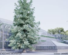 Palmiarnia w Ogrodzie Botanicznym we Wrocławiu. Wizalizacje
