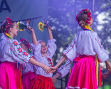 Wielki Wrocławski Piknik w Pawłowicach