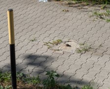 <p>Z uwagi na brak dojazdu, strażacy tracili czas na szukanie alternetywnej drogi i usuwanie słupk&oacute;w</p>