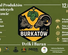Program wydarzenia