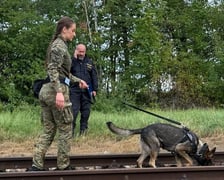 Międzynarodowe Mistrzostwa Kynologiczne Psów Służbowych zorganizowano w miejscowości Červená nad Vltavou w Republice Czeskiej