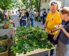 W niedzielę 15 maja w schronisku dla bezdomnych mężczyzn odbyła się wspólna kolacja.