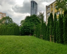 Z przedszkolnego podwórka widać Sky Tower. Na trawniku posadzono młode drzewa, wśród nich lipy.