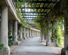 Pergola przy Hali Stulecia nie tylko dla zakochanych