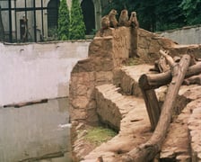 Powódź Tysiąclecia w ZOO Wrocław, lipiec 1997. Zalana fosa na wybiegu pawianów