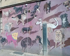 Kolorowe podwórka przy ul. Roosevelta we Wrocławiu przyciągają i turystów, i wrocławian. Murale na Nadodrzu zachwycają!