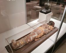 Mumia egipska w Muzeum Archidiecezjalnym we Wrocławiu