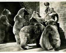 Jakie zwierzęta żyły we wrocławskim ZOO przed II wojną światową? Zobaczcie zdjęcia w naszej galerii