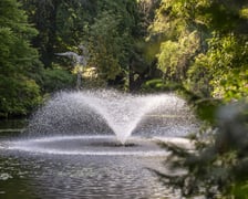 W Ogrodzie Botanicznym we Wrocławiu mamy fontannę i staw