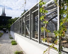 Trwa remont zabytkowych szklarni w Ogrodzie Botanicznym. Wewnątrz znajduja się już pierwsze rośliny
