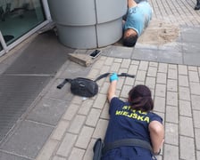 Misja ratowania kota - 10 września 2022