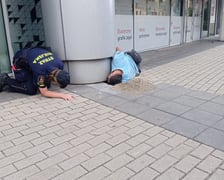 Misja ratowania kota - 10 września 2022