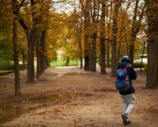 Jesień we wrocławskich parkach i na ulicach w 2022 roku