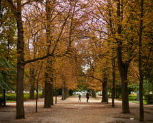 Jesień we wrocławskich parkach i na ulicach w 2022 roku