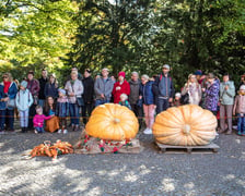 Dolnośląski Festiwal Dyni