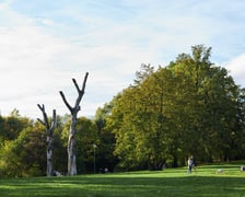 Park Kleciński we Wrocławiu