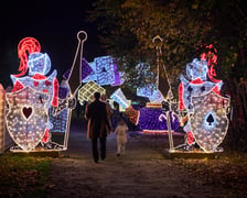 Lumina Park w Zamku Topacz koło Wrocławia