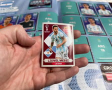 Naklejki Panini z piłkarzami cieszyły się ogromną popularnością w czasie Euro 2012. Dzieci często wymieniały się nimi na szkolnych przerwach, a następnie wklejały je do specjalnych albumów.