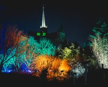 Na zdjęciu iluminacja Ogrodu Botanicznego we Wrocławiu w poprzednich latach