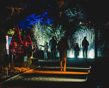 Na zdjęciu iluminacja Ogrodu Botanicznego we Wrocławiu w poprzednich latach